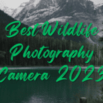Best Camera for Wildlife Photography on a Budget in India in 2023